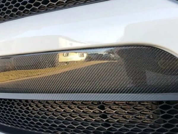 Custom Front Bumper Nose Trim Cover | 15+ Dodge Charger - Image 6